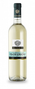 Bagnasco Pinot Grigio IGP Pavia 75 cl. 11,5 Vol. FRIZZANTE
