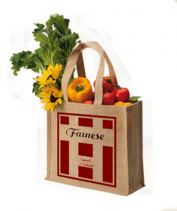 Turco Riviera Ligure di Ponente Pigato 2024 75 cl. 13 vol.